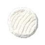 Bifidobacterium lactis