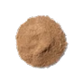 Bacillus subtilis
